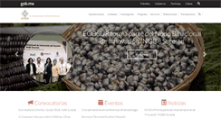 Desktop Screenshot of ecosur.mx
